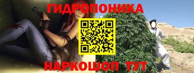 spice Кунгур