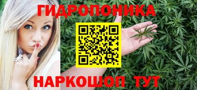 spice Кунгур