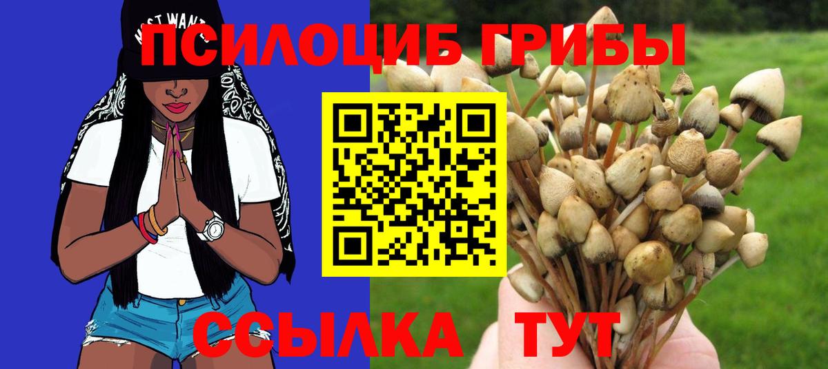 Галлюциногенные грибы MAGIC MUSHROOMS Донской