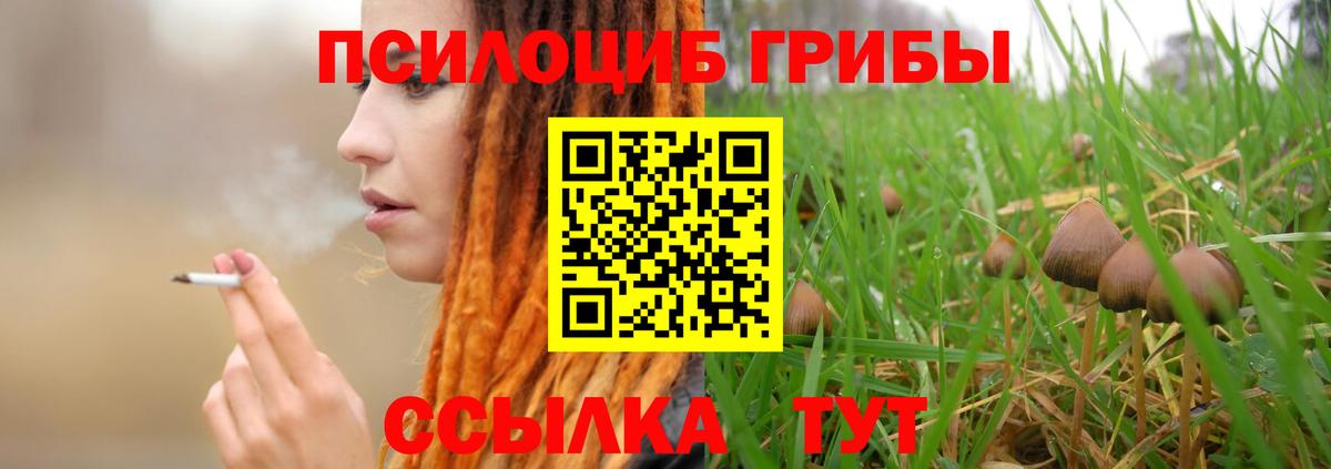 Донской  Псилоцибиновые грибы Psilocybine cubensis  купить наркотик  Вход с VPN 
